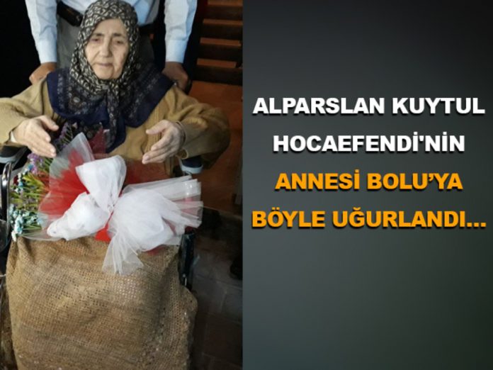annesi